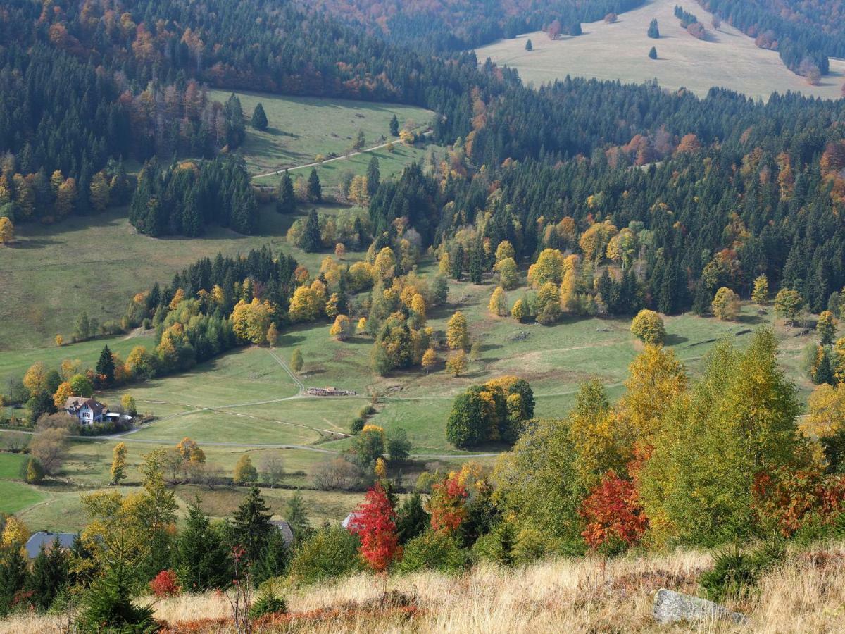 C3 Albmatte-Fewo Sauna, Hallenbad Aussenbecken Massagen Nebenan 상트블라신 외부 사진