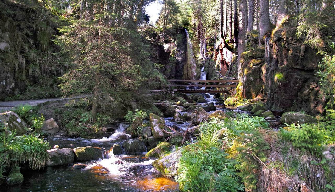 C3 Albmatte-Fewo Sauna, Hallenbad Aussenbecken Massagen Nebenan 상트블라신 외부 사진