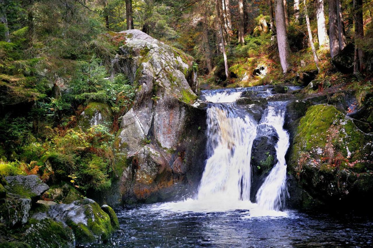 C3 Albmatte-Fewo Sauna, Hallenbad Aussenbecken Massagen Nebenan 상트블라신 외부 사진