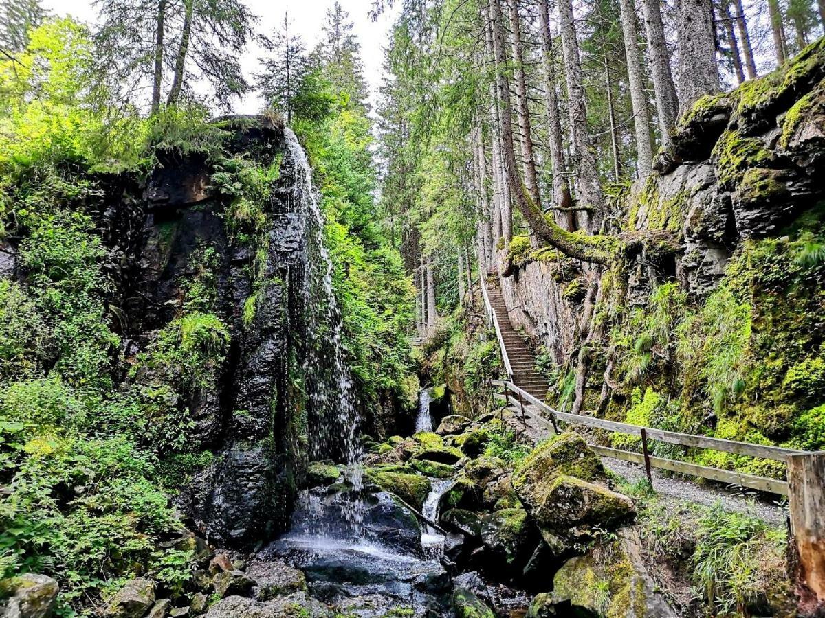 C3 Albmatte-Fewo Sauna, Hallenbad Aussenbecken Massagen Nebenan 상트블라신 외부 사진