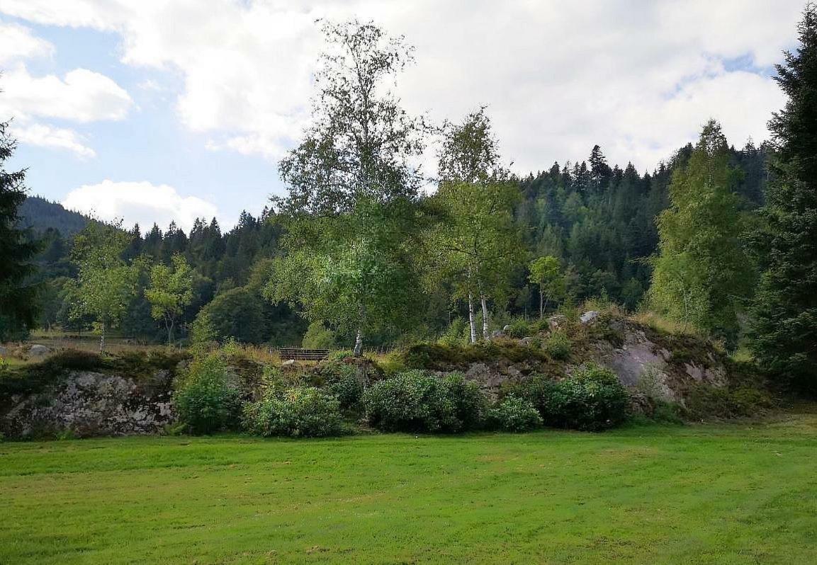 C3 Albmatte-Fewo Sauna, Hallenbad Aussenbecken Massagen Nebenan 상트블라신 외부 사진