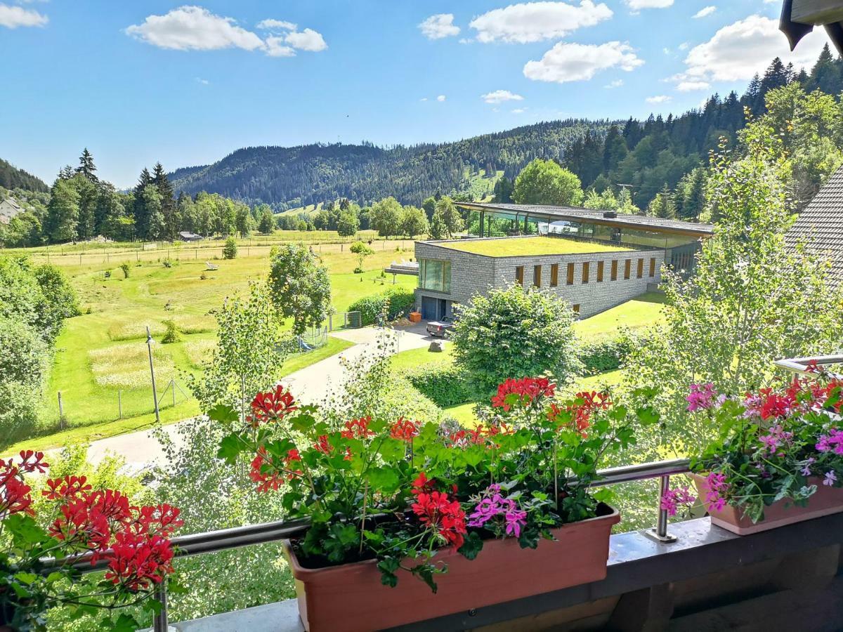 C3 Albmatte-Fewo Sauna, Hallenbad Aussenbecken Massagen Nebenan 상트블라신 외부 사진