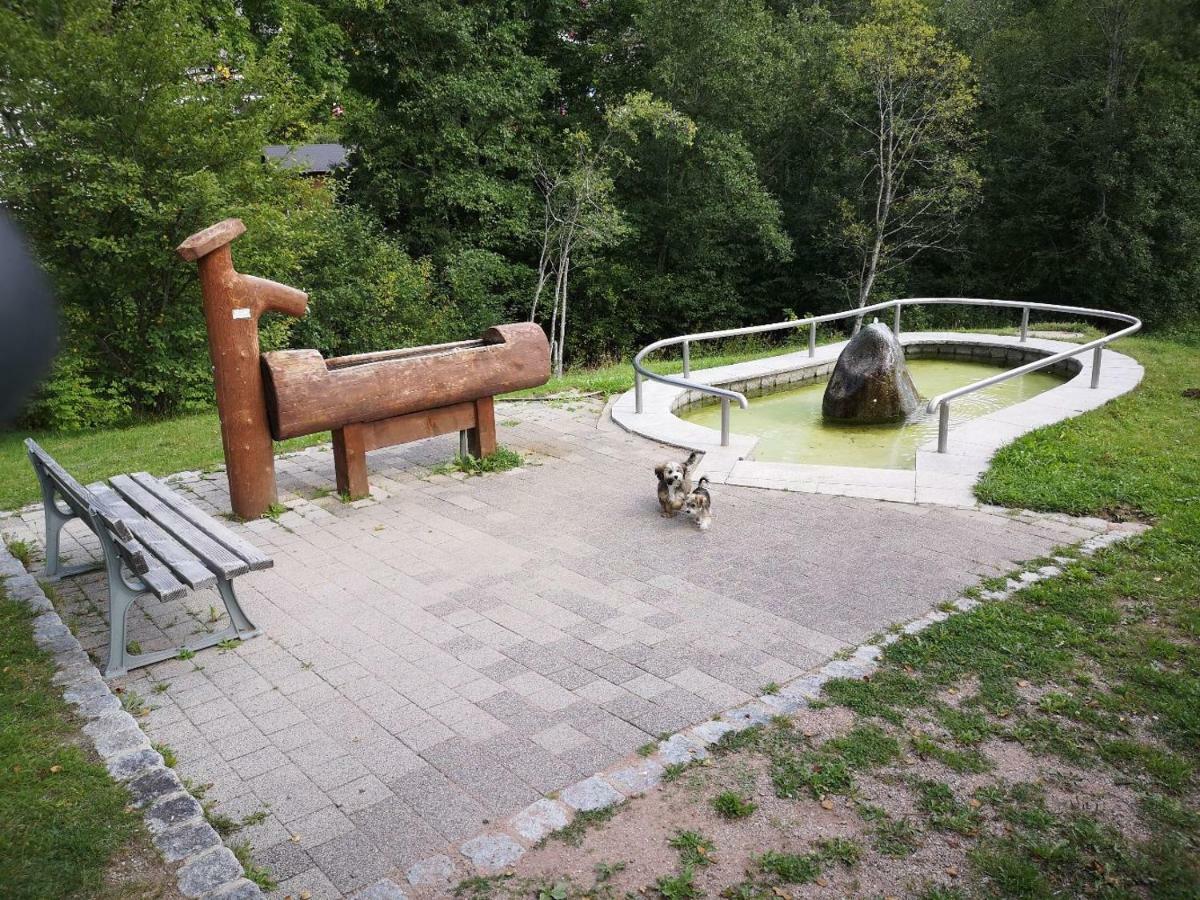 C3 Albmatte-Fewo Sauna, Hallenbad Aussenbecken Massagen Nebenan 상트블라신 외부 사진