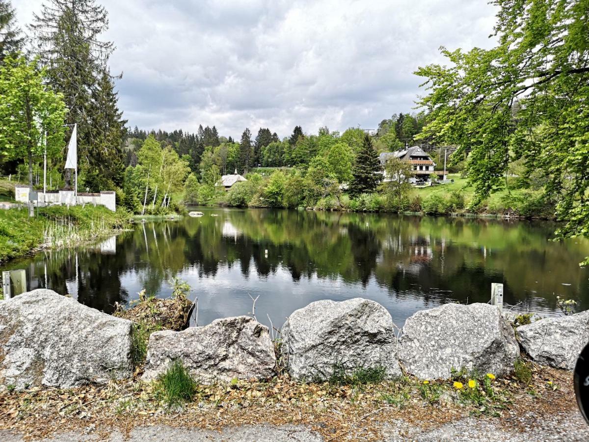 C3 Albmatte-Fewo Sauna, Hallenbad Aussenbecken Massagen Nebenan 상트블라신 외부 사진